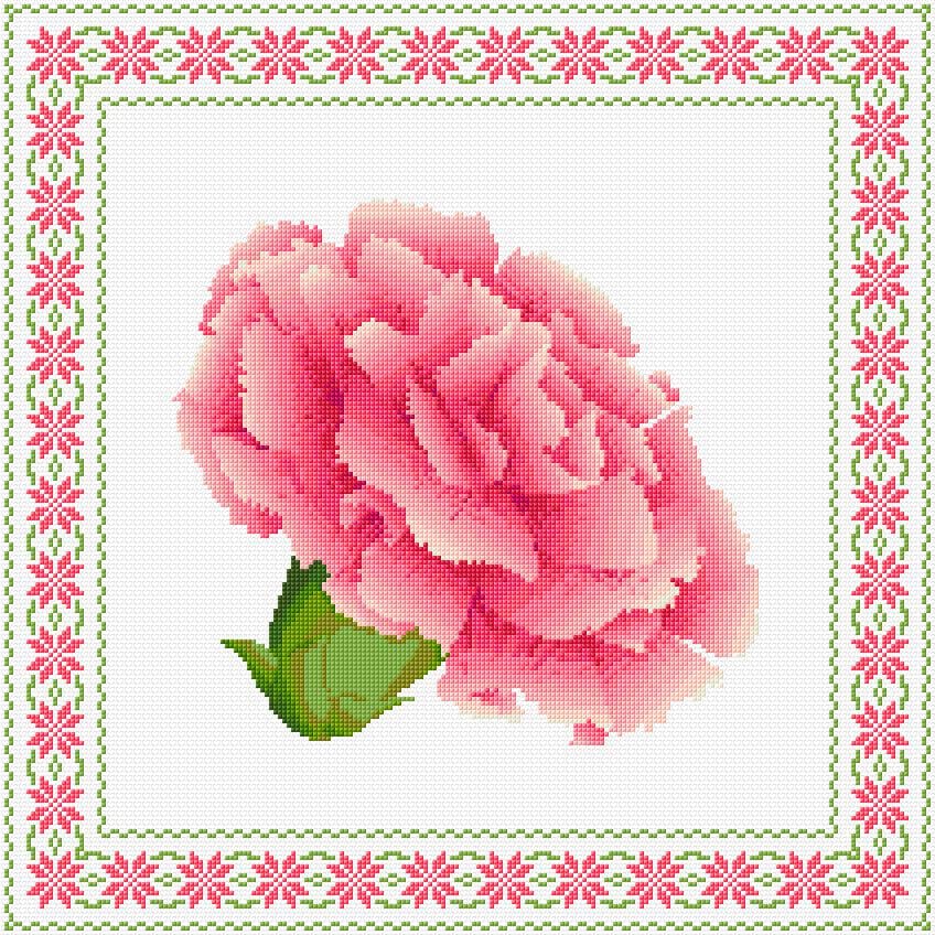 Carnation free cross-stitch pattern