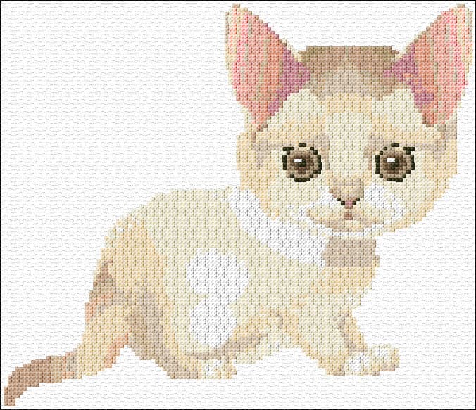 Kitten free cross-stitch pattern