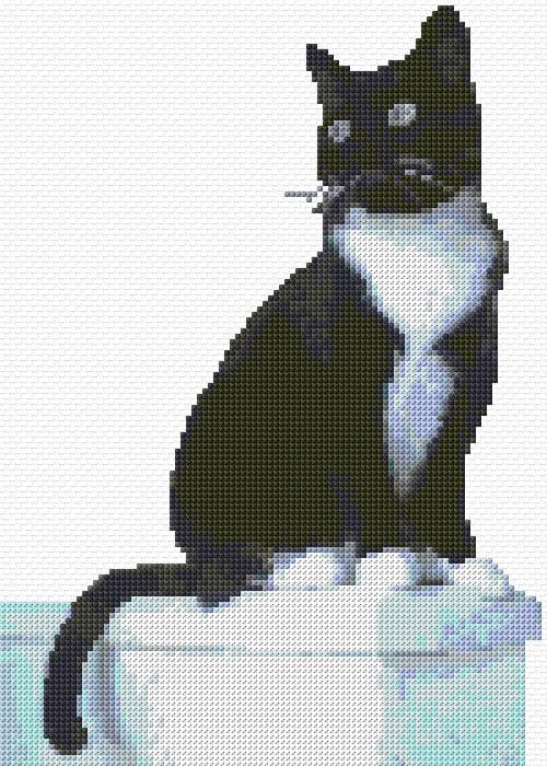 Tuxedo Cat free cross-stitch pattern