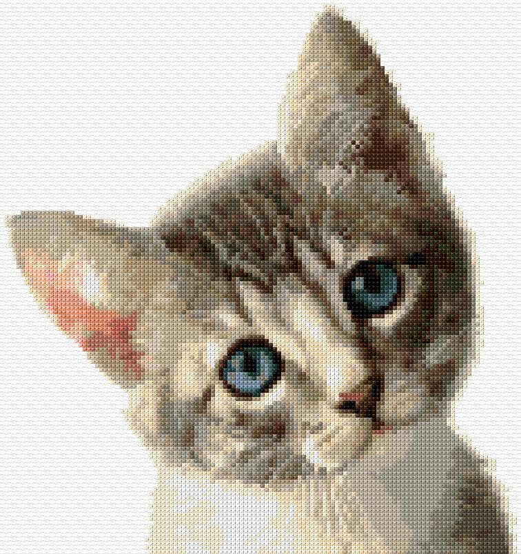 Kitten free cross-stitch pattern