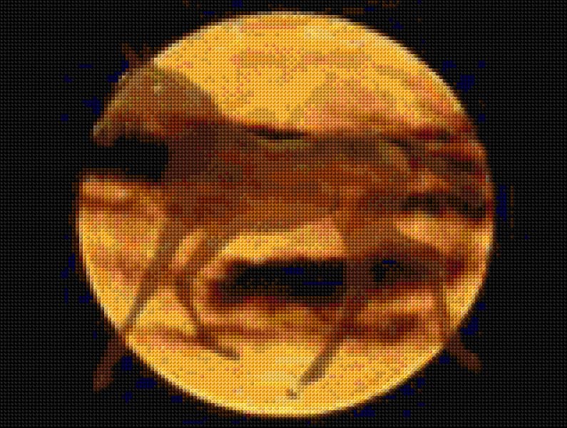 Moon Foal free cross-stitch pattern