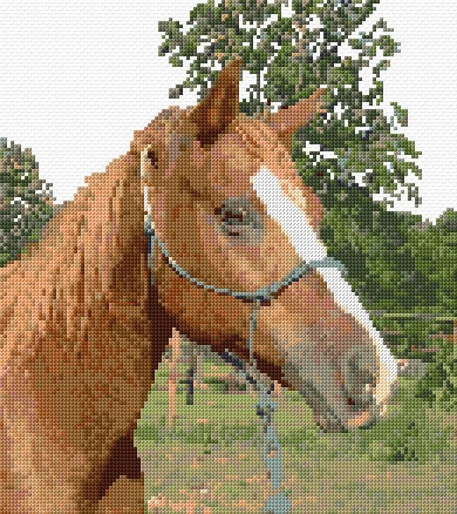 Horse free cross-stitch pattern