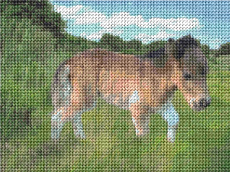Foal free cross-stitch pattern