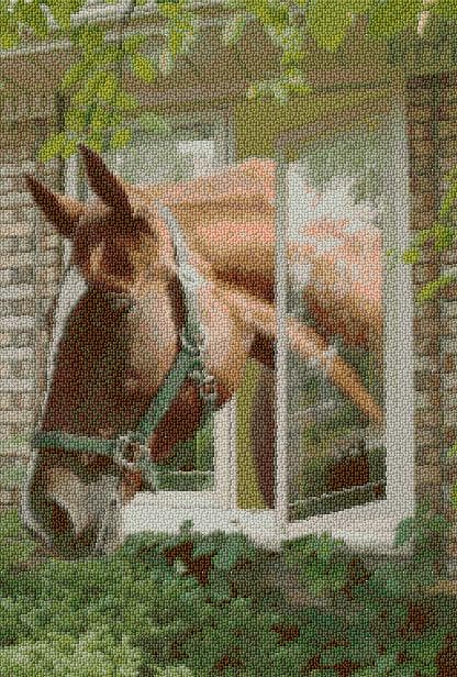 Horse in the Window - Kit free cross-stitch pattern