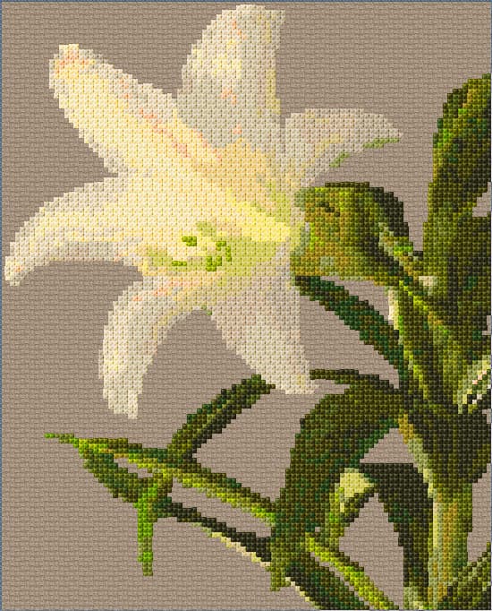 Lily free cross-stitch pattern