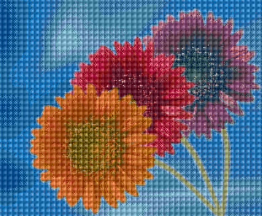 Three Gerberas free cross-stitch pattern