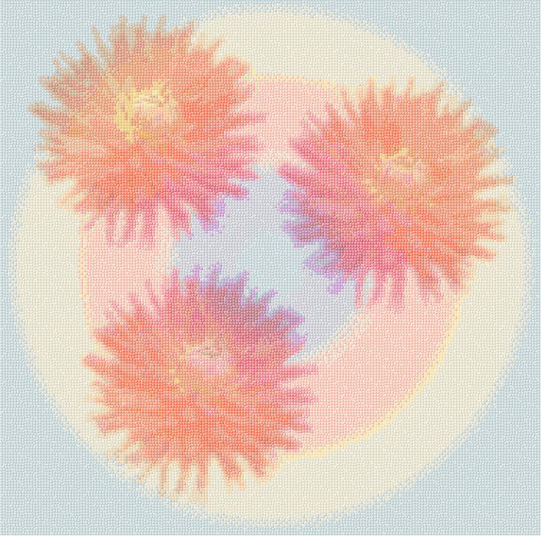 Dahlias free cross-stitch pattern