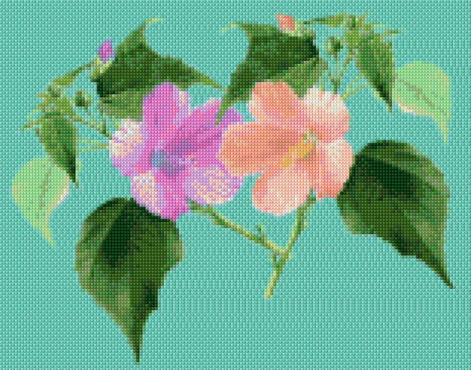 Hibiscus free cross-stitch pattern
