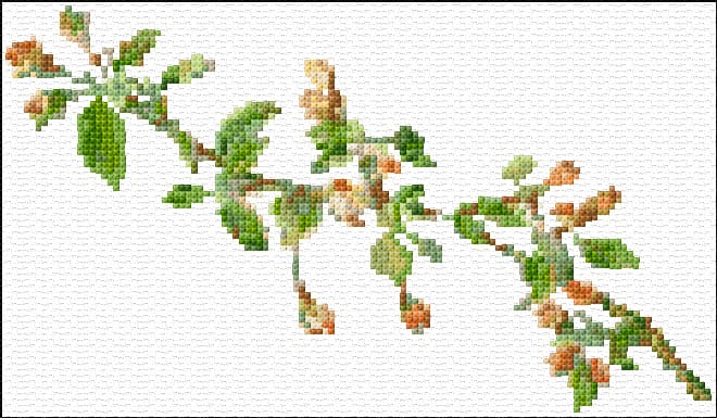 Fruit Blossom free cross-stitch pattern
