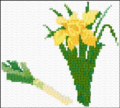 Welsh Daffodil free cross-stitch pattern