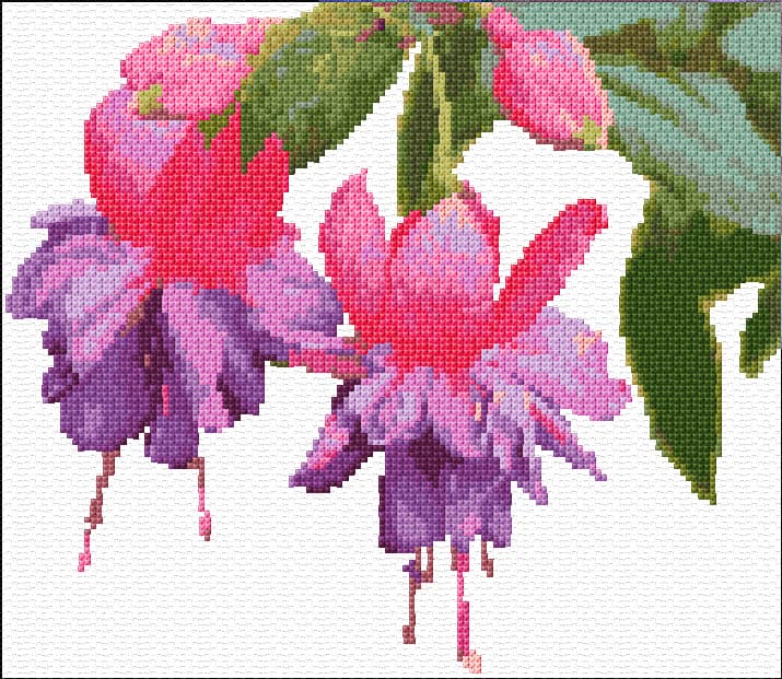 Fuchsia free cross-stitch pattern