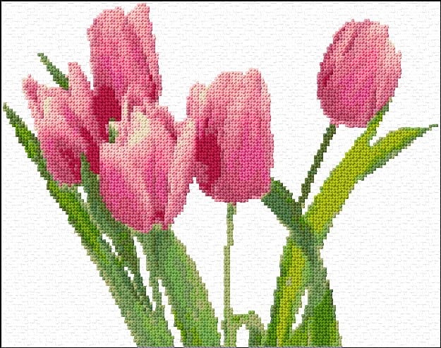 Tulips free cross-stitch pattern