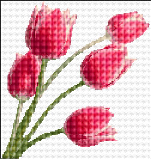 Tulips free cross-stitch pattern