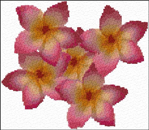 Frangipani free cross-stitch pattern