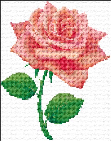 Roze free cross-stitch pattern