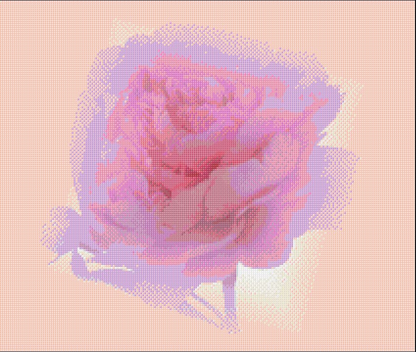 Romantic Peony free cross-stitch pattern