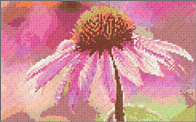 Echinacea free cross-stitch pattern