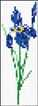 Iris free cross-stitch pattern