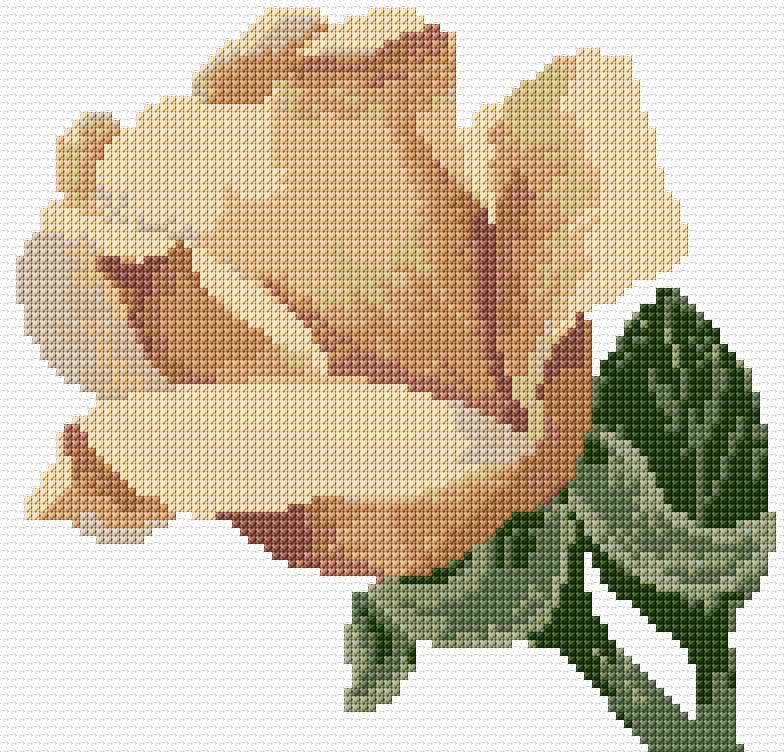 Rose free cross-stitch pattern