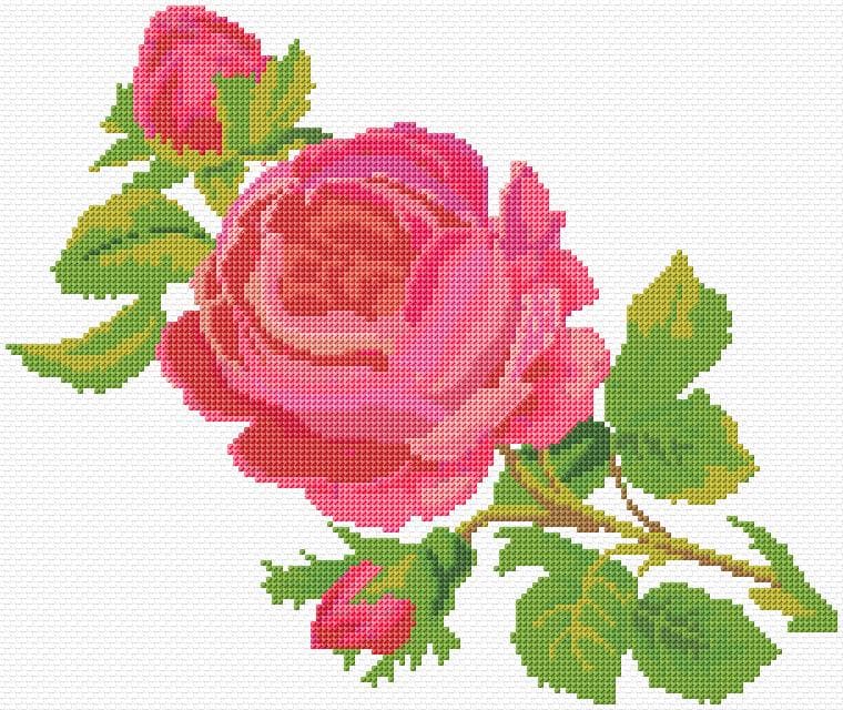 Rose free cross-stitch pattern