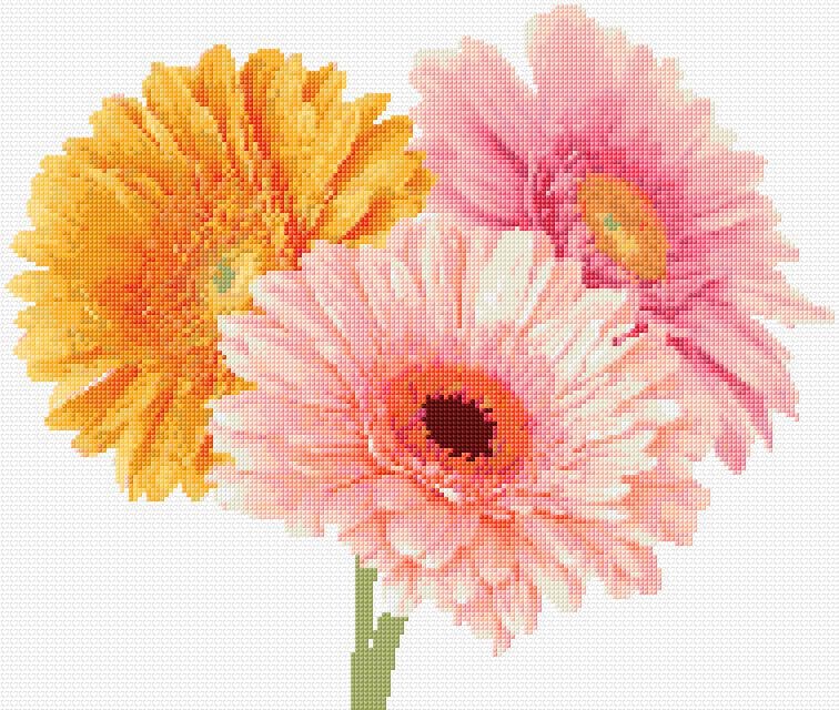 Dasies free cross-stitch pattern