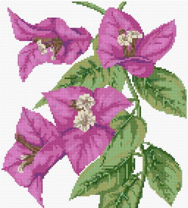 Flowers free cross-stitch pattern
