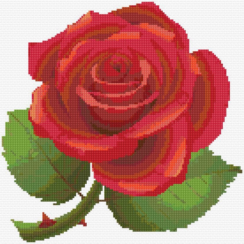 Red Rose free cross-stitch pattern