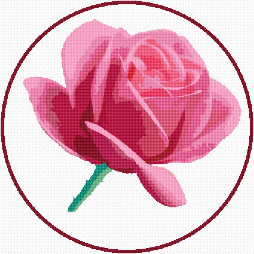Rose free cross-stitch pattern