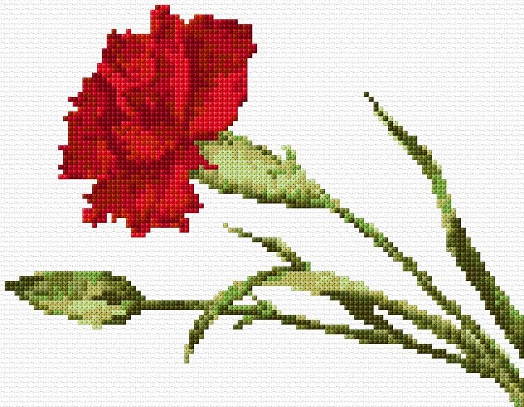 Carnation free cross-stitch pattern