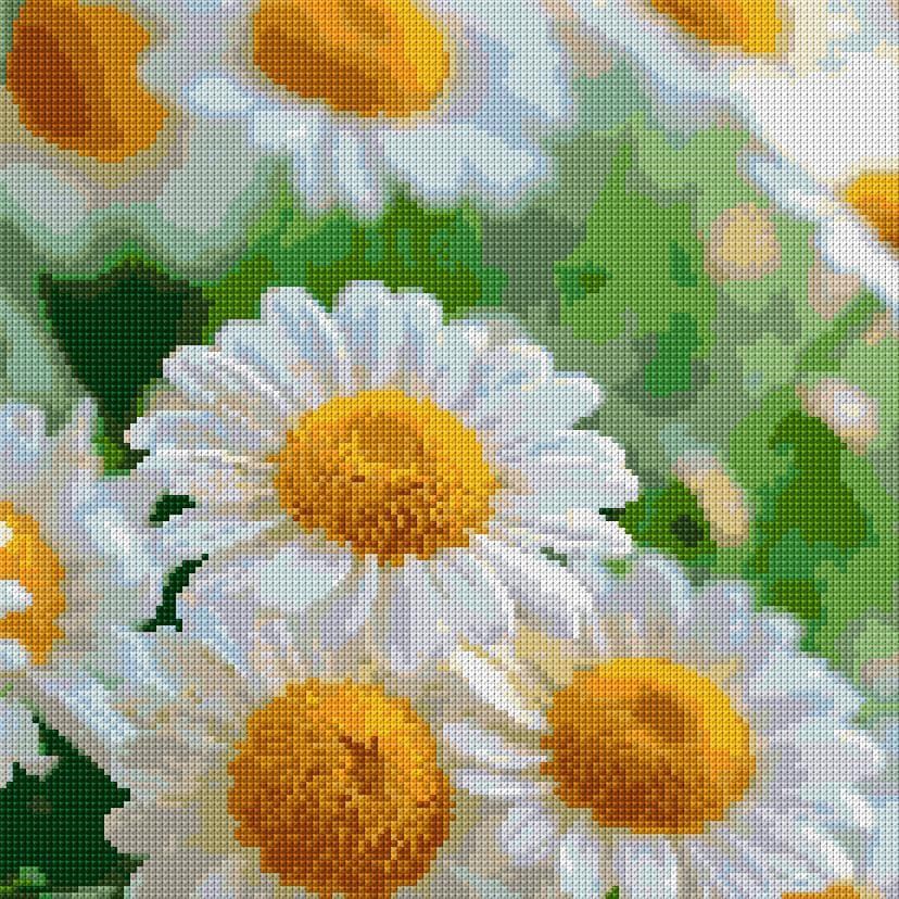 Camomiles free cross-stitch pattern
