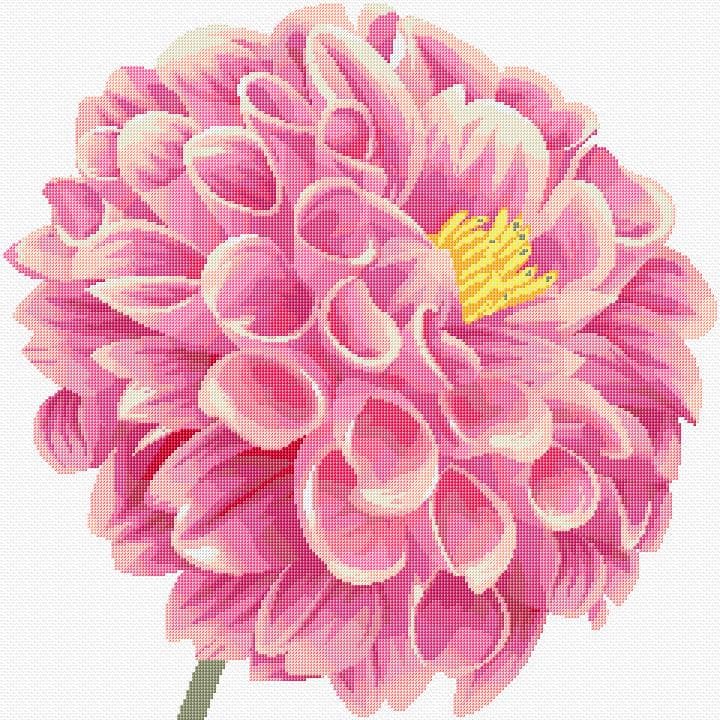 Flower free cross-stitch pattern