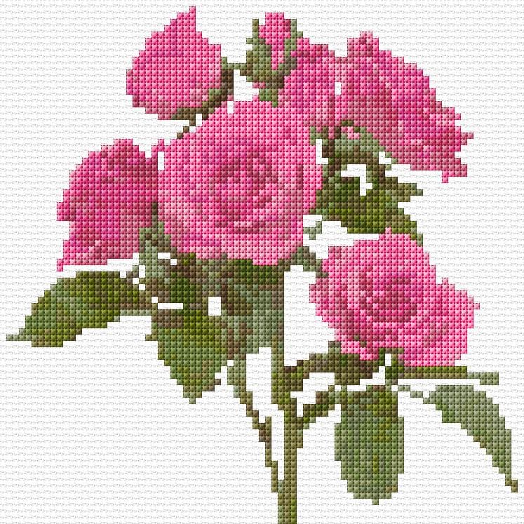 Roses free cross-stitch pattern