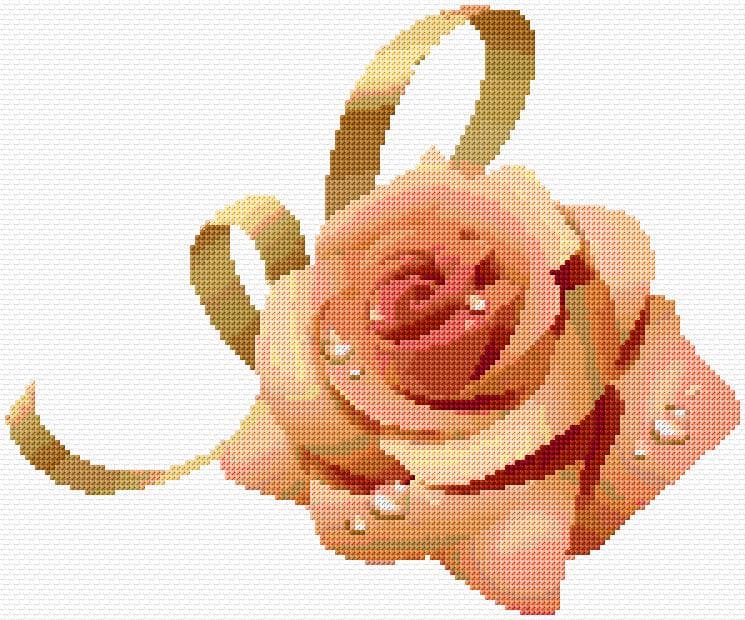 Rose free cross-stitch pattern