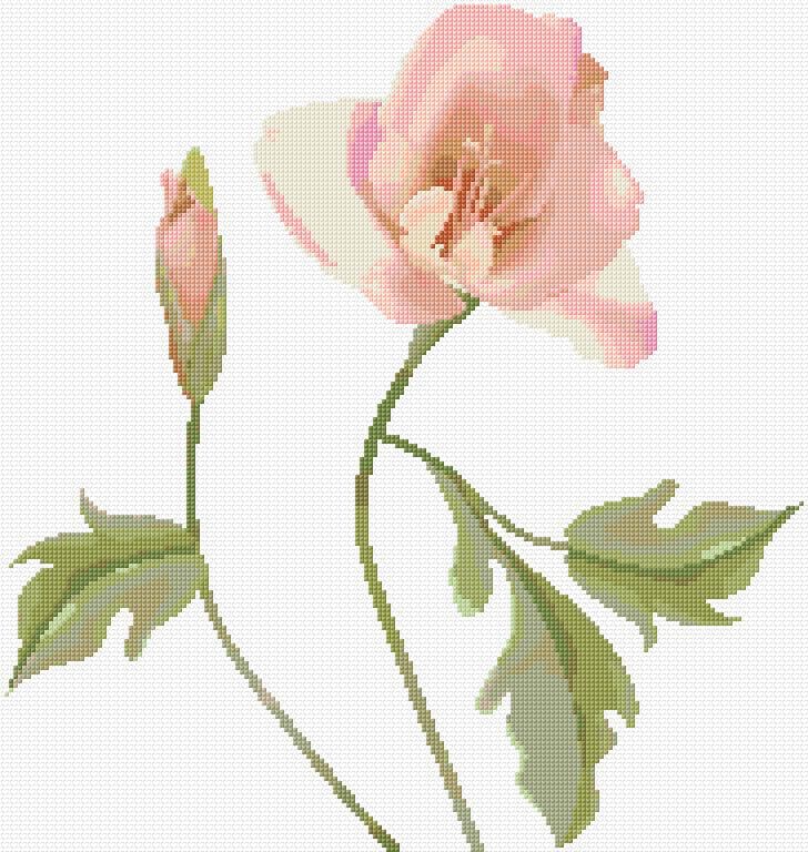 Lily free cross-stitch pattern