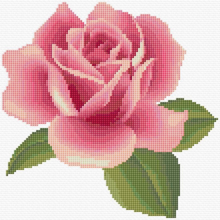 Rose free cross-stitch pattern