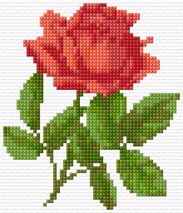 Rose free cross-stitch pattern