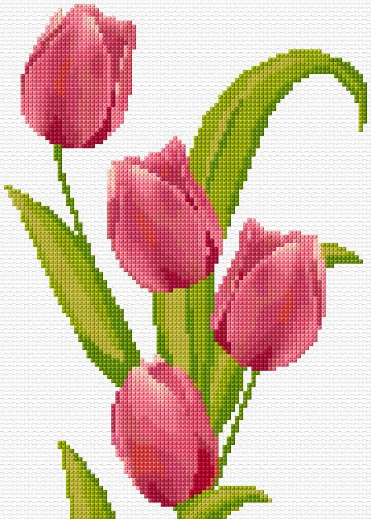 Tulips free cross-stitch pattern