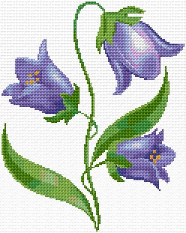 Bellflower free cross-stitch pattern