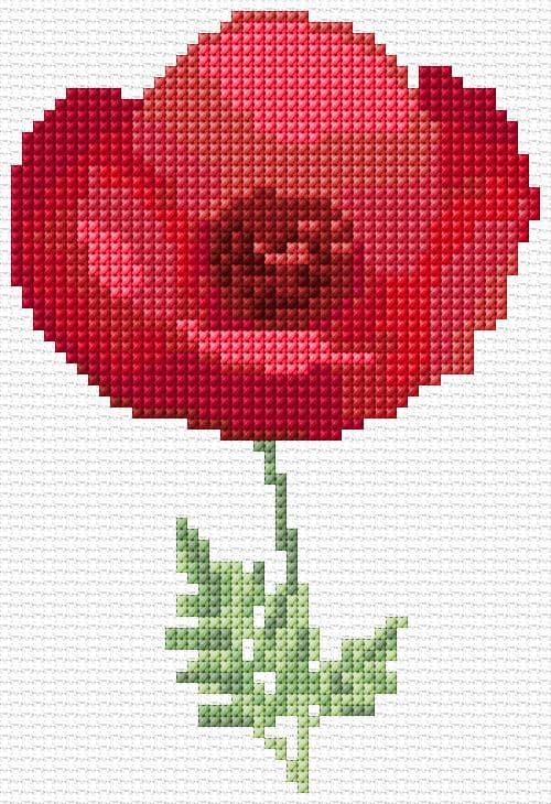 Poppy free cross-stitch pattern