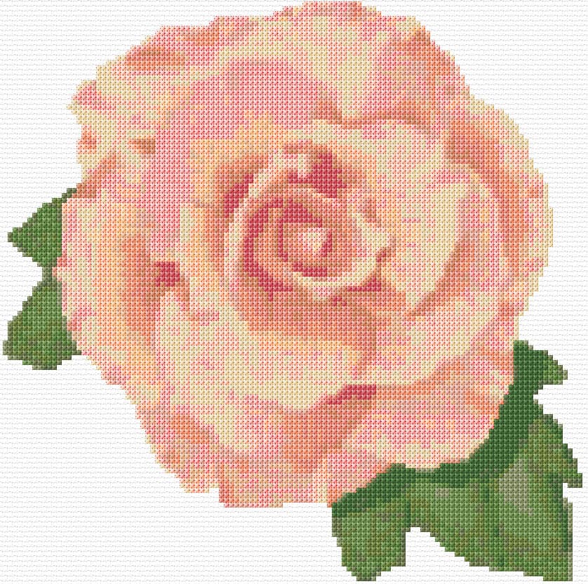 Begonia free cross-stitch pattern