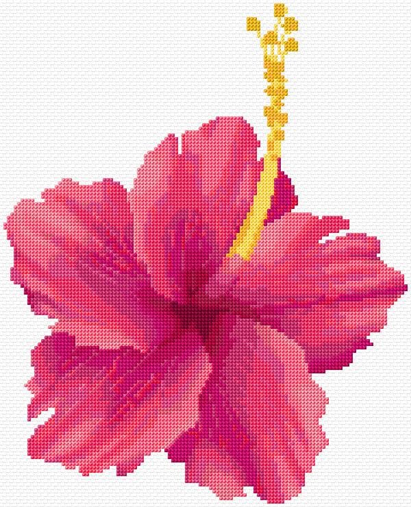 Hibiscus free cross-stitch pattern