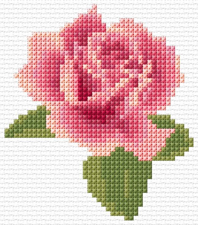 Rose free cross-stitch pattern