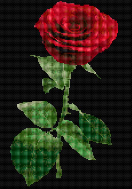 Red Rose free cross-stitch pattern
