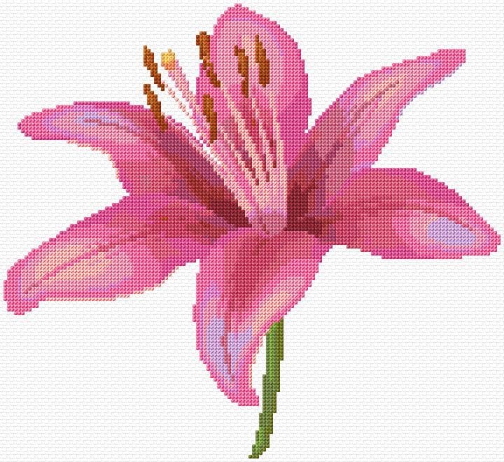 Lilia free cross-stitch pattern