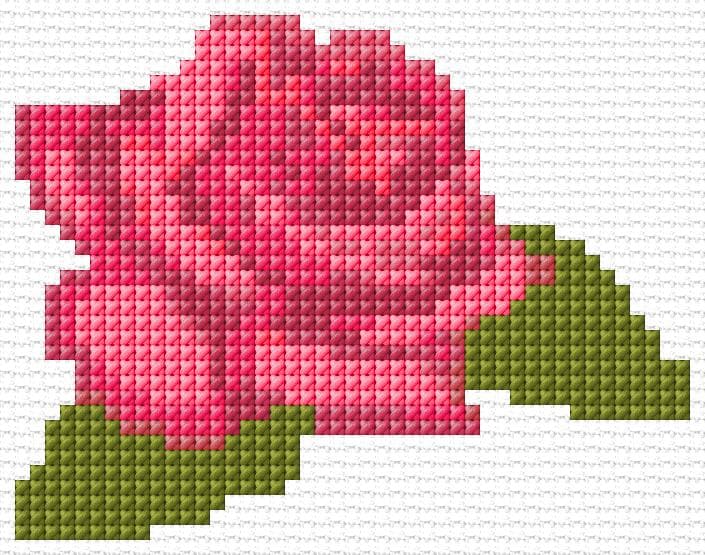 Rose free cross-stitch pattern