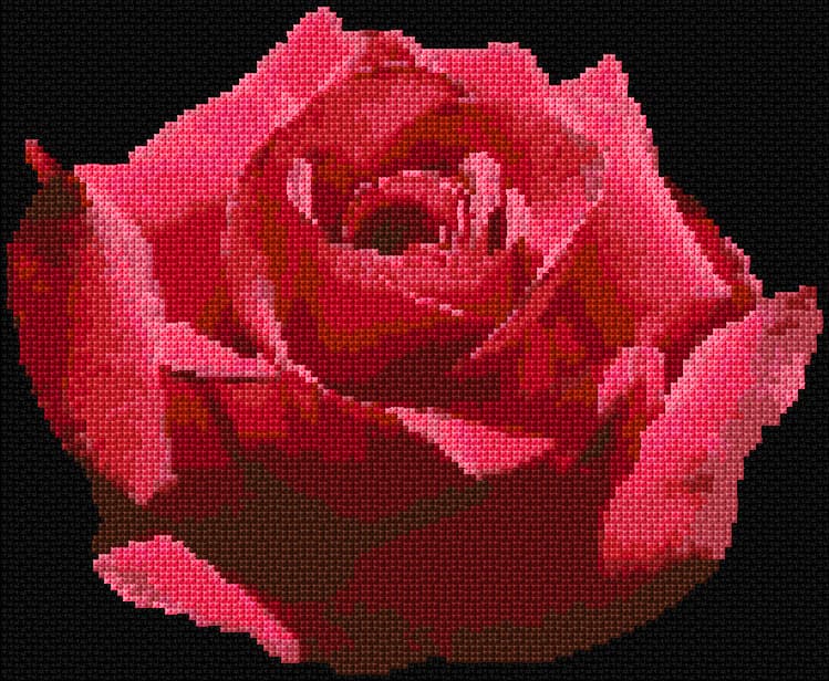 Rose 3 free cross-stitch pattern