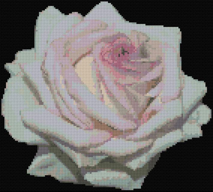 Rose 4 free cross-stitch pattern