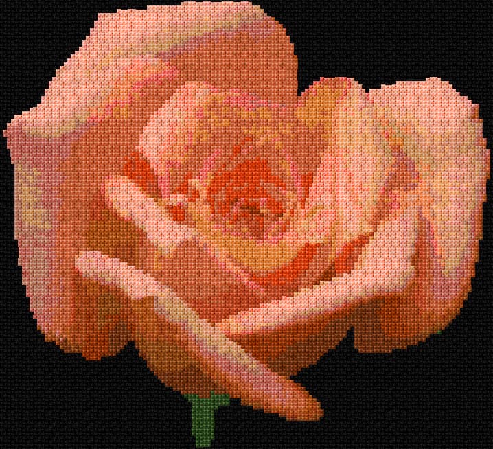 Rose 5 free cross-stitch pattern