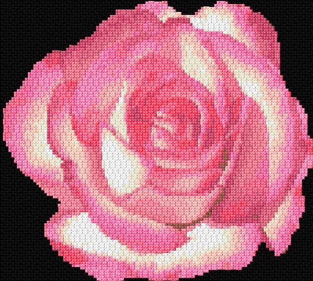 Rose 6 free cross-stitch pattern