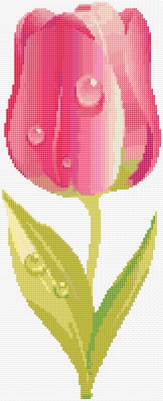 Tulip free cross-stitch pattern